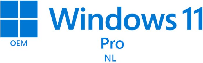 Microsoft Windows 11 Pro NL
