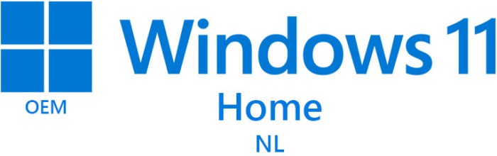 Microsoft Windows 11 Home NL