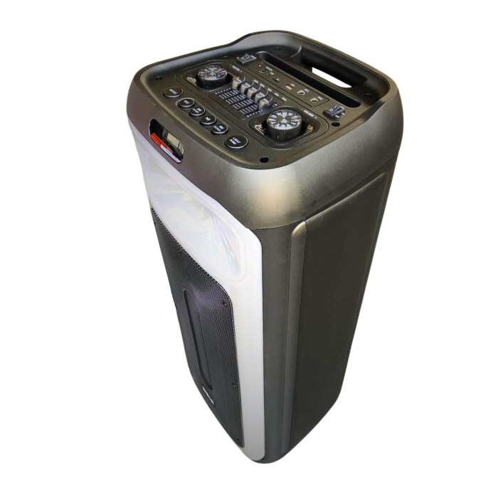 Audio Speaker WDLR DR-1028 / 60 W Portable Bluetooth + Microphone.
